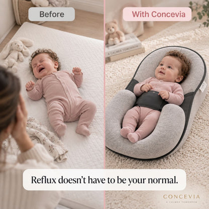 CalmNest Reflux Relief Lounger