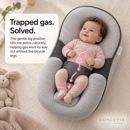 CalmNest Reflux Relief Lounger