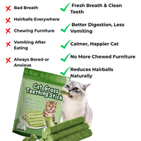 Cat Grass Teething Sticks