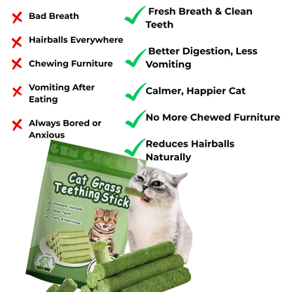 Cat Grass Teething Sticks