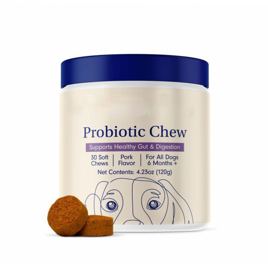 Probiotics for dogs, Support Health Gut & Digestion
