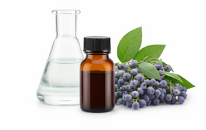 Chaste Tree Berry Extract (Vitex)(part of 1,100 mg proprietary complex)
