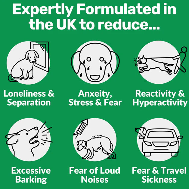 120 Tasty Calming Treats for Stress, Anxiety & Fear